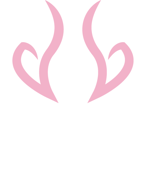 Vadi-Pilot